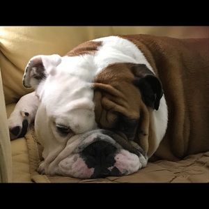 Meet your Posher, Christa